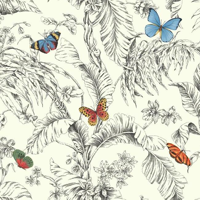 Papillon Wallpaper (Primary)