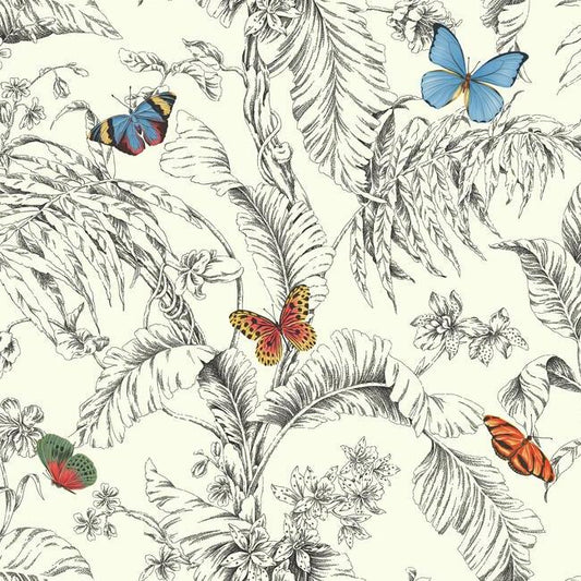 Papillon Wallpaper (Primary)