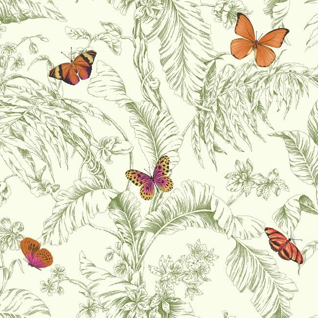 Papillon Wallpaper (Green)