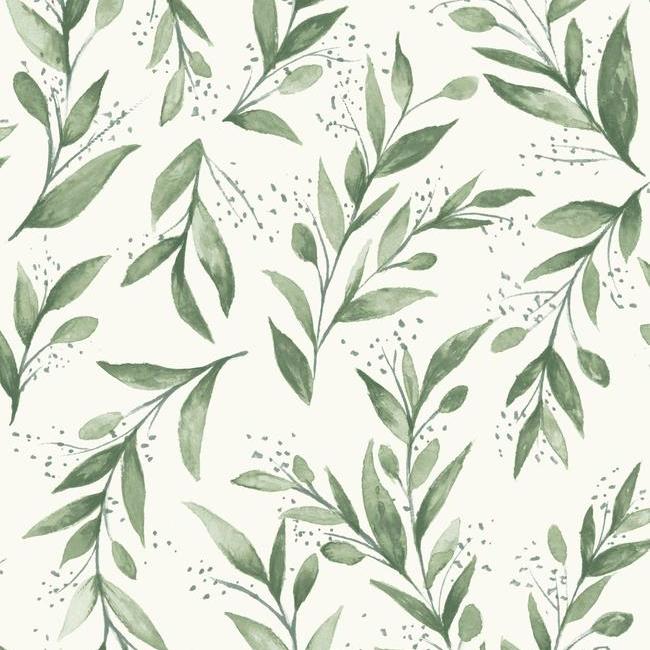 Olive Branch Wallpaper (Olive Groove)