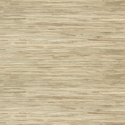 Sogen Neutral Knotted Grasscloth Wallpaper  (Neutral)