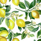 Lemon Zest Peel and Stick Wallpaper (white)