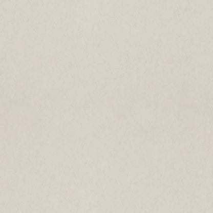 Parget Vide Wallpaper (Dove)