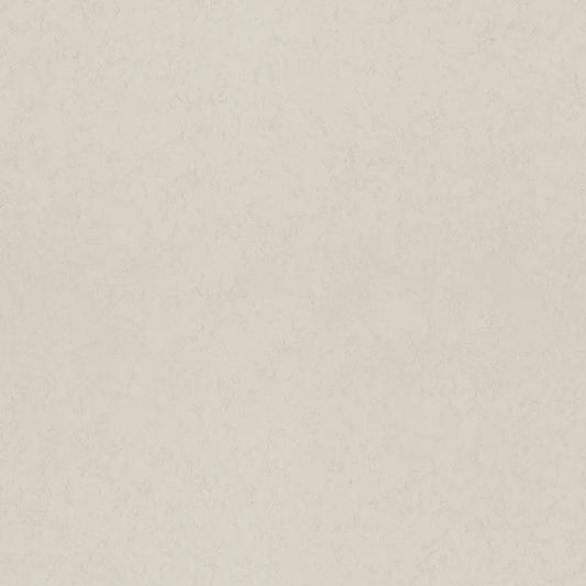 Parget Vide Wallpaper (Dove)