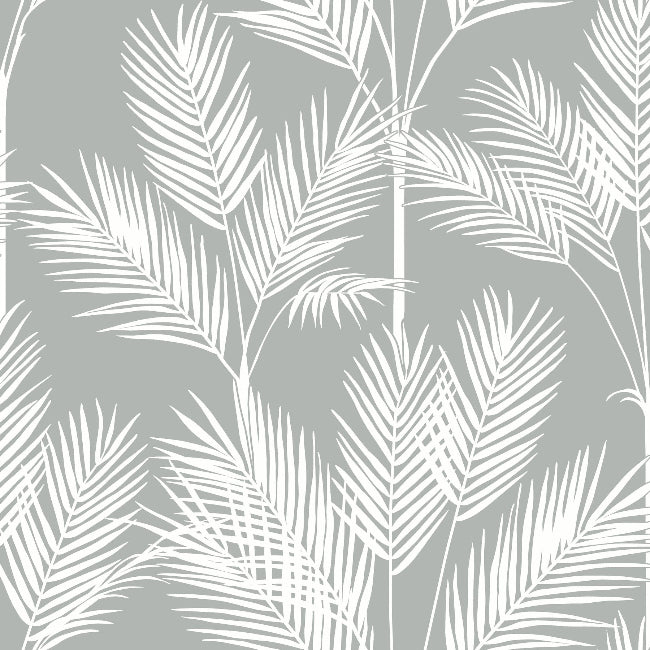 King Palm Silhouette Wallpaper- Fog