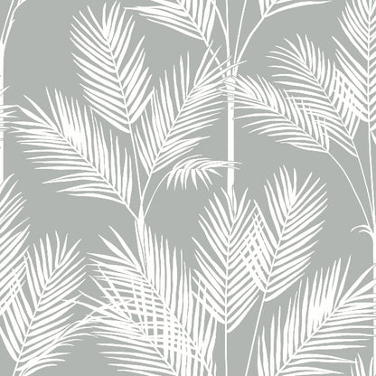 King Palm Silhouette Wallpaper- Fog