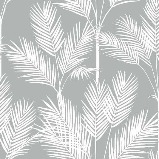 King Palm Silhouette Wallpaper- Fog