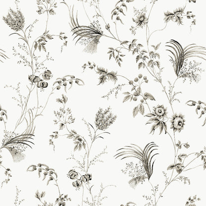 Floral Lace Wallpaper- Black