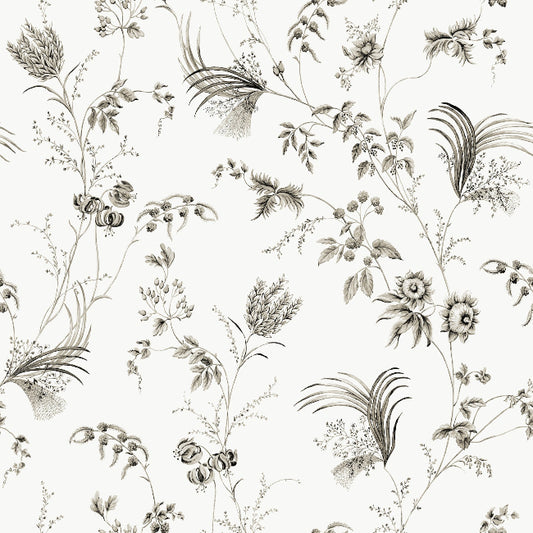 Floral Lace Wallpaper- Black
