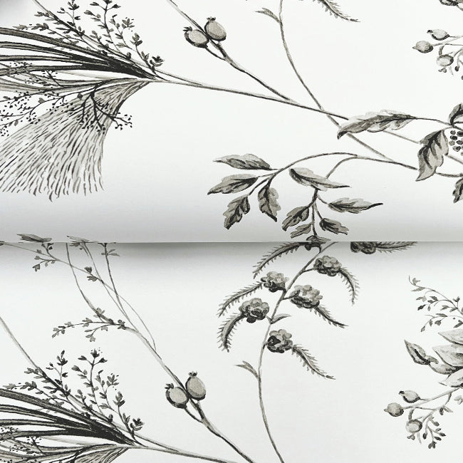 Floral Lace Wallpaper- Black