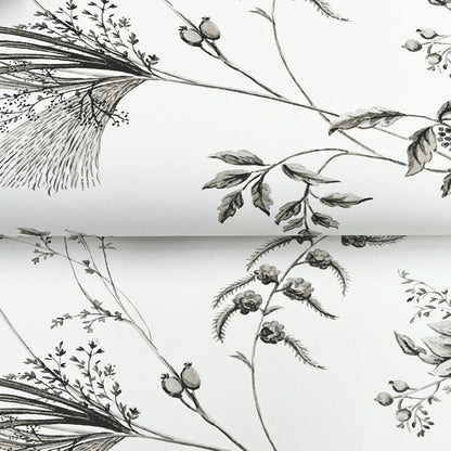 Floral Lace Wallpaper- Black