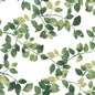 Finlayson Latvus Peel and Stick Wallpaper (Green)