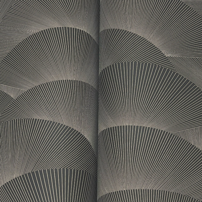 Morning Shell Wallpaper- Black & Grey