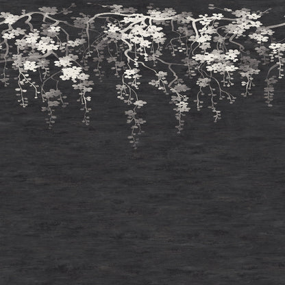 Sakura Blooms Wall Mural- Black