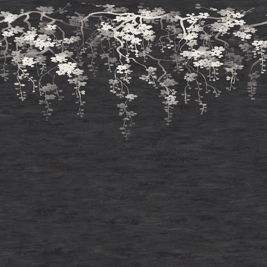 Sakura Blooms Wall Mural- Black