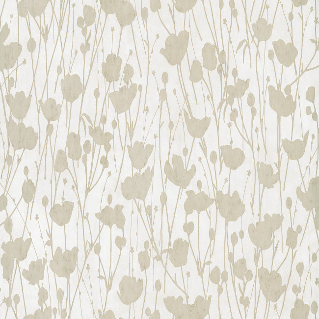 Shimmering Poppies Wallpaper- White & Gold