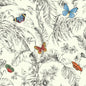 Papillon Wallpaper (Primary)