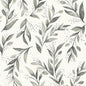 Olive Branch Wallpaper (Charcoal)