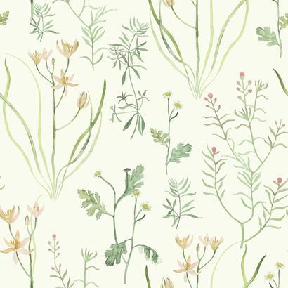 Alpine Botanical Wallpaper (Peach)