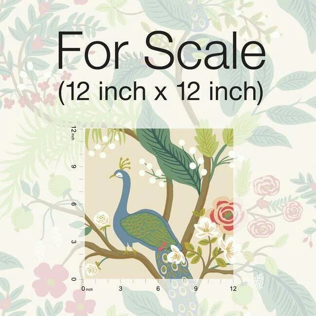 Peacock Wallpaper (Blush)