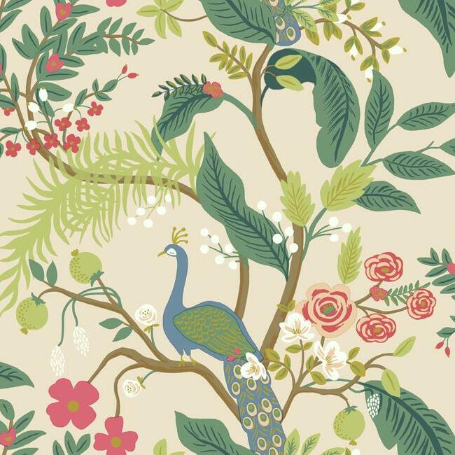 Peacock Wallpaper (Blush)